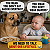 Post: The Most Confusing Conversation Ever! 🤣